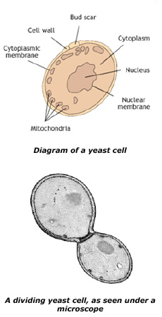圖片關鍵詞 圖片關鍵詞