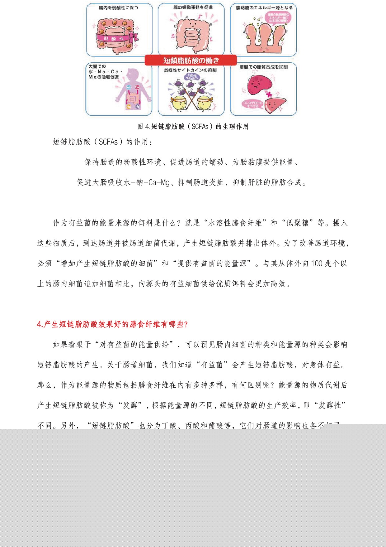 圖片關鍵詞 圖片關鍵詞